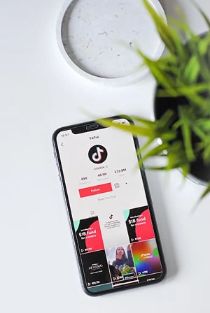 TikTok app displayed on a mobile phone