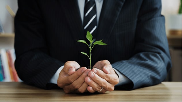 A business man holding a plant in his hands