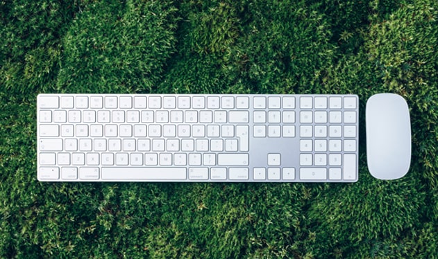 A keyboard and mouse on grass