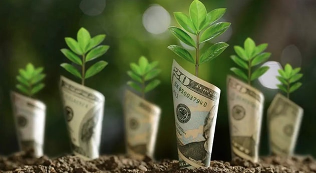 Greenwashing vs. Green Marketing — What’s the Difference?