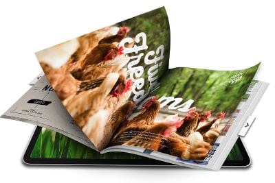 The real page-turning effect