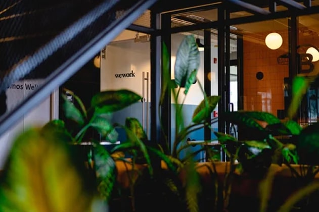 10 Benefits of Having Plants in Your Office