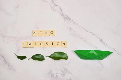 Green leaves and a green paper boat, 