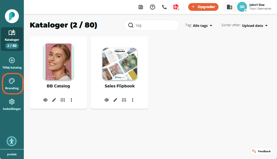 Flipbooks-dashboard med to flipbook-kort; venstre sidemenu “Branding”-knap er fremhævet.
