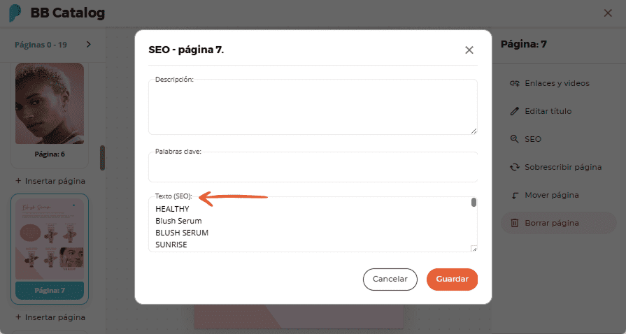 Campos de entrada SEO con palabras clave y texto SEO para la página 7 del catálogo BB