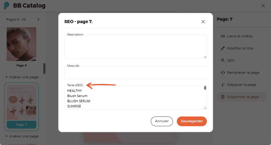 Champs de saisie SEO avec mots-clés et texte SEO pour la page 7 du catalogue BB