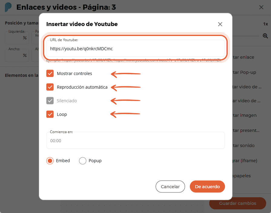 Ventana de configuración de vídeo de YouTube que muestra la URL del vídeo y casillas de verificación Ventana de configuración de vídeo de YouTube que muestra la URL del vídeo y casillas de verificación