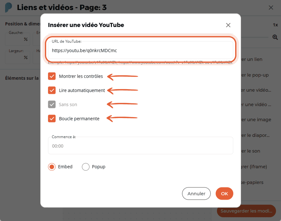 Fenêtre des paramètres de vidéo YouTube affichant l’URL et les cases à cocher pour les contrôles, la Fenêtre des paramètres de vidéo YouTube affichant l’URL et les cases à cocher pour les contrôles, la