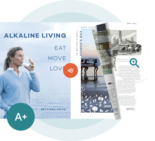 Digital publication with accessibility icons — showing how Paperturn helps government agencies create accessible publications.