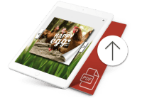 Lade deine PDF-Datei hoch
