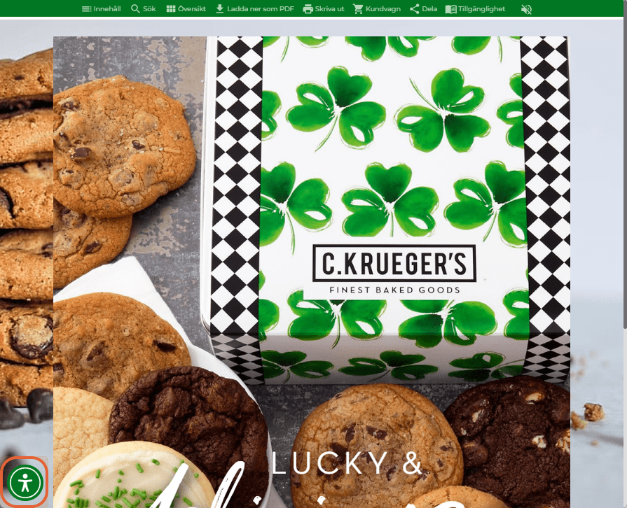 Inzoomad vy av flipbook med den gröna tillgänglighetsikonen synlig i nedre vänstra hörnet.